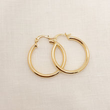 Load image into Gallery viewer, Endless Summer Hoops