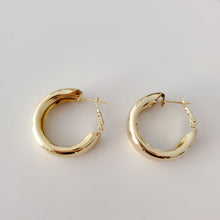 Load image into Gallery viewer, Endless Summer Hoops