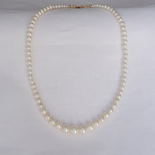 Load image into Gallery viewer, Queen Pearls Necklace
