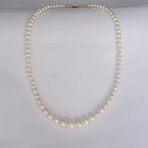 Queen Pearls Necklace